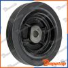 Poulie damper vilebrequin pour RENAULT | RKP-RE-011, 02851
